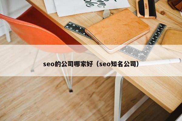 seo的公司哪家好（seo知名公司）