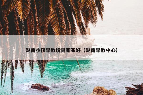 湖南小孩早教玩具哪家好（湖南早教中心）