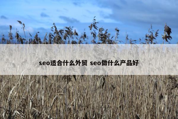 seo适合什么外贸 seo做什么产品好