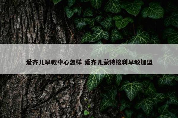 爱齐儿早教中心怎样 爱齐儿蒙特梭利早教加盟