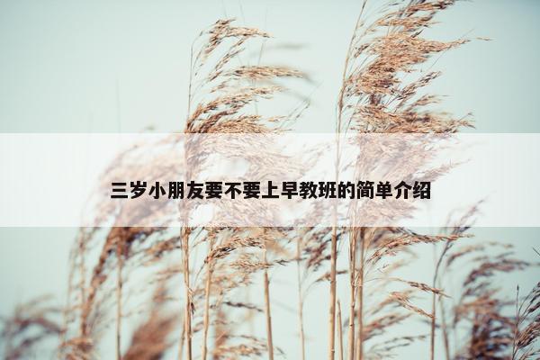 三岁小朋友要不要上早教班的简单介绍