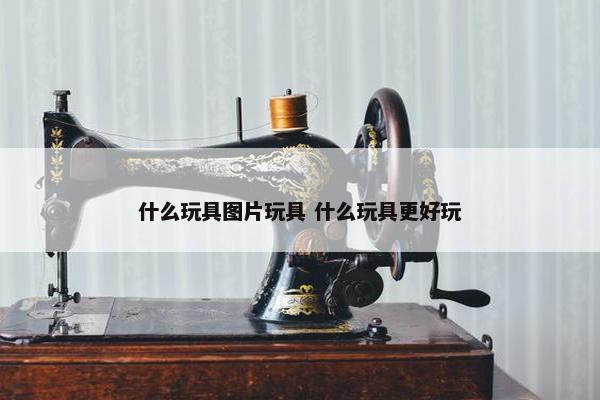 什么玩具图片玩具 什么玩具更好玩