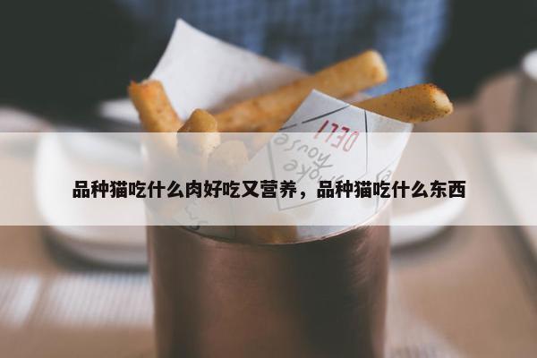 品种猫吃什么肉好吃又营养，品种猫吃什么东西