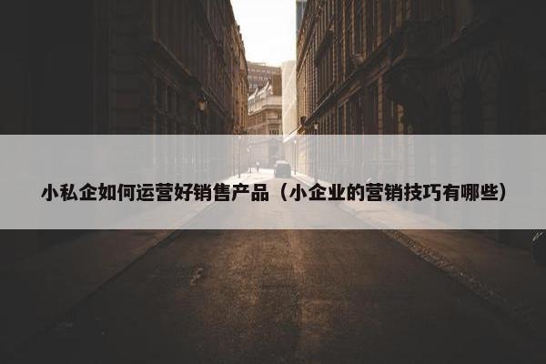 小私企如何运营好销售产品（小企业的营销技巧有哪些）