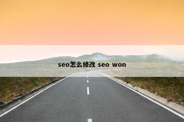 seo怎么修改 seo won