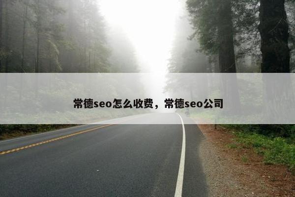 常德seo怎么收费，常德seo公司