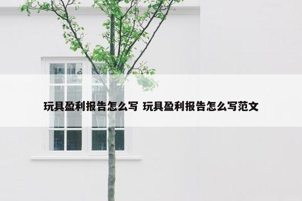 玩具盈利报告怎么写 玩具盈利报告怎么写范文