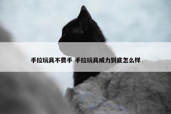 手拉玩具不费手 手拉玩具威力到底怎么样