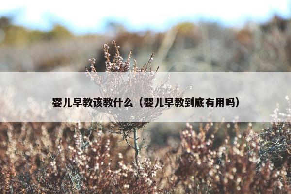 婴儿早教该教什么（婴儿早教到底有用吗）