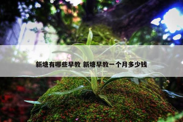 新塘有哪些早教 新塘早教一个月多少钱