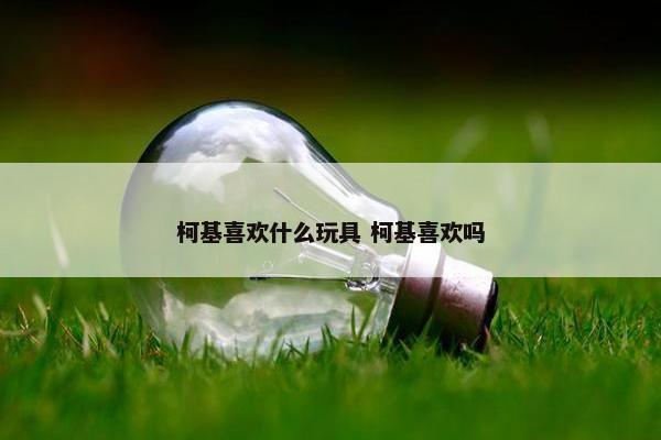 柯基喜欢什么玩具 柯基喜欢吗