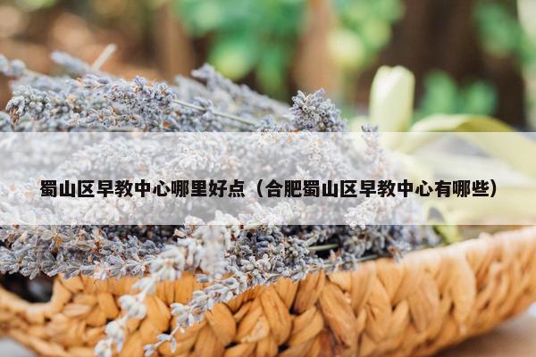 蜀山区早教中心哪里好点（合肥蜀山区早教中心有哪些）