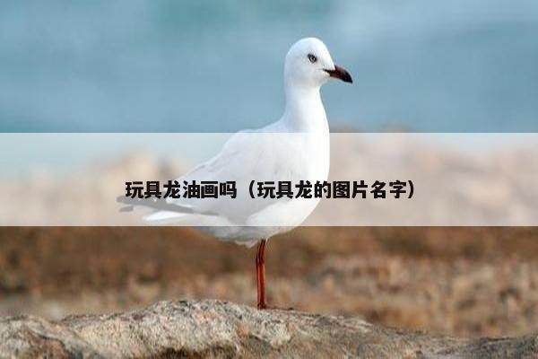 玩具龙油画吗（玩具龙的图片名字）