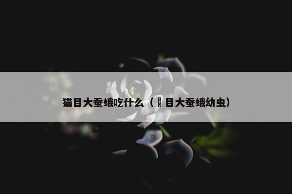 猫目大蚕蛾吃什么（鸮目大蚕蛾幼虫）