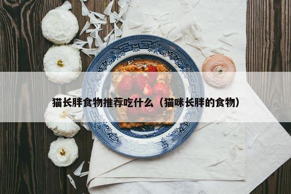 猫长胖食物推荐吃什么（猫咪长胖的食物）