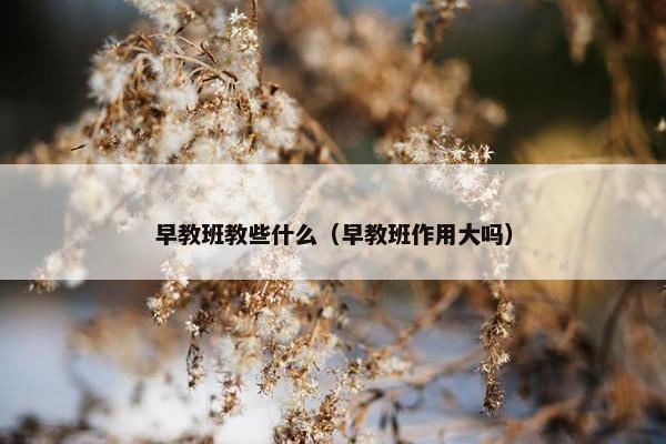 早教班教些什么（早教班作用大吗）