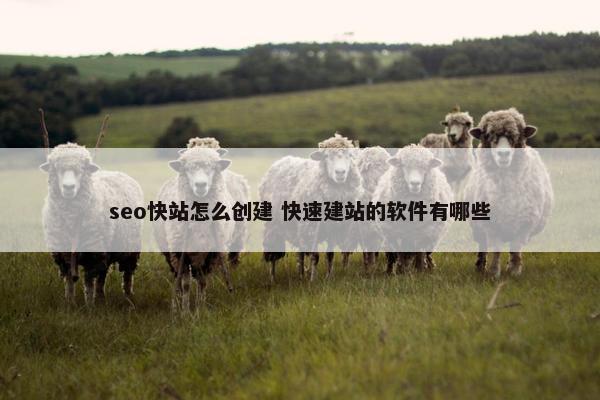 seo快站怎么创建 快速建站的软件有哪些