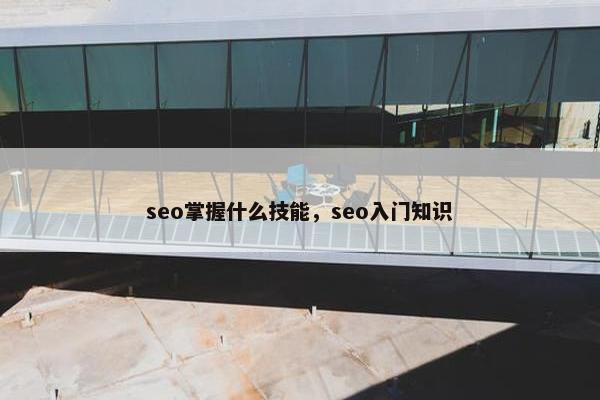 seo掌握什么技能，seo入门知识