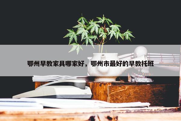 鄂州早教家具哪家好，鄂州市最好的早教托班