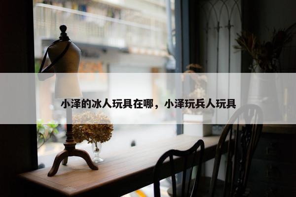 小泽的冰人玩具在哪，小泽玩兵人玩具