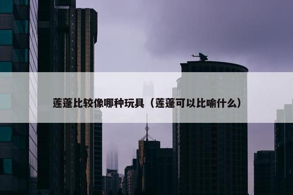 莲蓬比较像哪种玩具（莲蓬可以比喻什么）