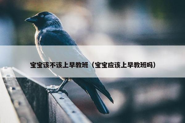 宝宝该不该上早教班（宝宝应该上早教班吗）