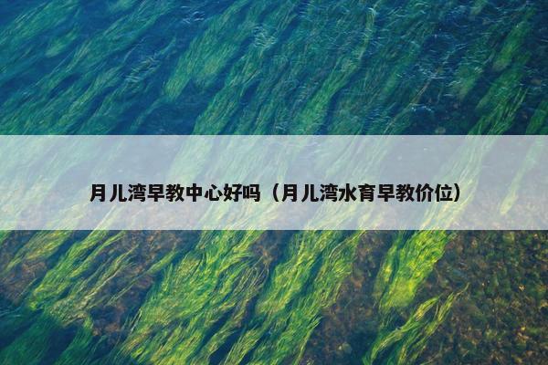 月儿湾早教中心好吗（月儿湾水育早教价位）