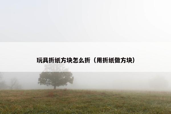 玩具折纸方块怎么折（用折纸做方块）