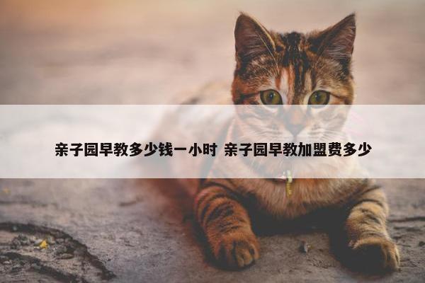 亲子园早教多少钱一小时 亲子园早教加盟费多少