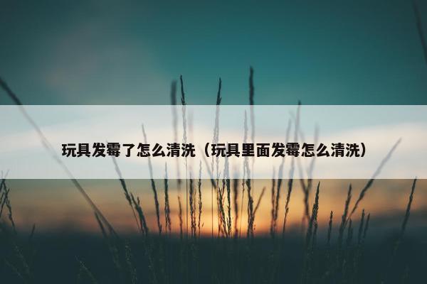 玩具发霉了怎么清洗（玩具里面发霉怎么清洗）