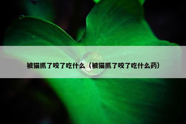 被猫抓了咬了吃什么（被猫抓了咬了吃什么药）