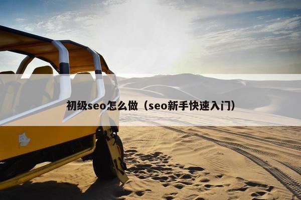 初级seo怎么做（seo新手快速入门）