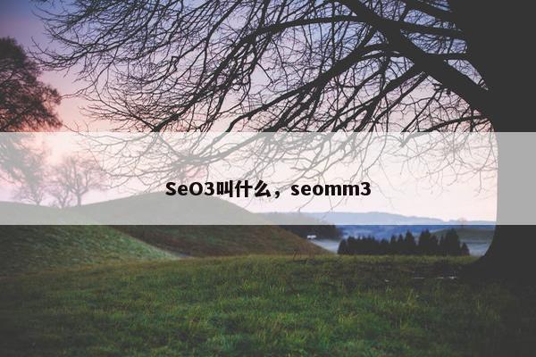 SeO3叫什么，seomm3