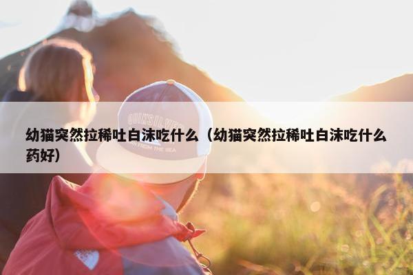 幼猫突然拉稀吐白沫吃什么（幼猫突然拉稀吐白沫吃什么药好）