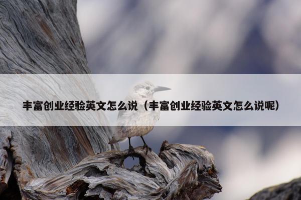 丰富创业经验英文怎么说（丰富创业经验英文怎么说呢）