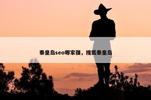 秦皇岛seo哪家强，搜狐秦皇岛