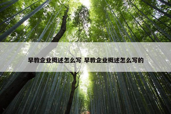 早教企业概述怎么写 早教企业概述怎么写的