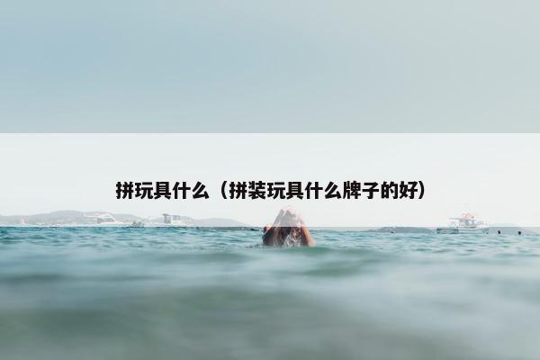 拼玩具什么（拼装玩具什么牌子的好）