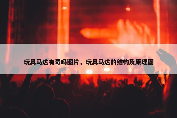 玩具马达有毒吗图片，玩具马达的结构及原理图