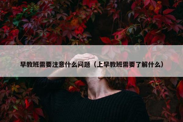 早教班需要注意什么问题（上早教班需要了解什么）