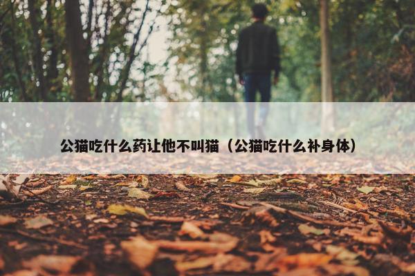 公猫吃什么药让他不叫猫（公猫吃什么补身体）