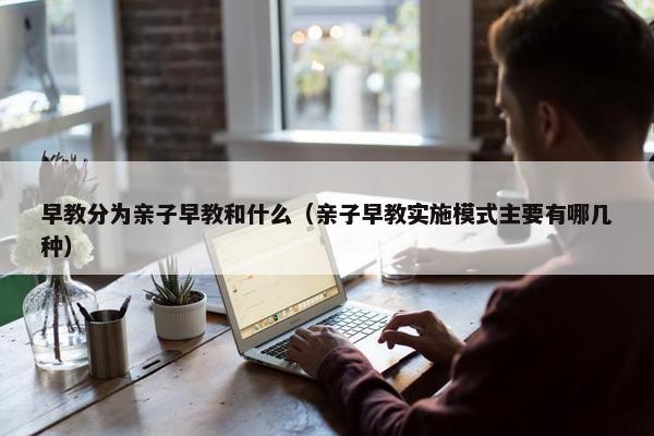 早教分为亲子早教和什么（亲子早教实施模式主要有哪几种）