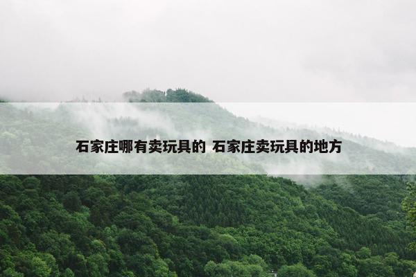 石家庄哪有卖玩具的 石家庄卖玩具的地方