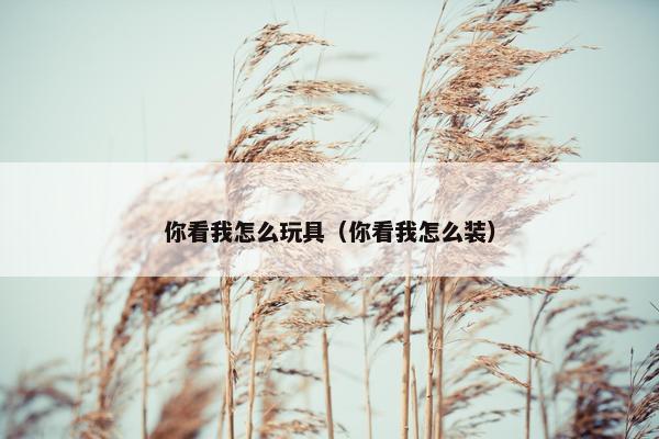 你看我怎么玩具（你看我怎么装）