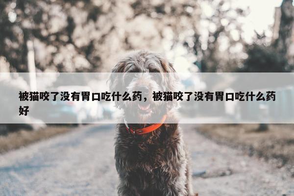 被猫咬了没有胃口吃什么药，被猫咬了没有胃口吃什么药好