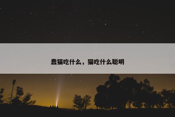 蠢猫吃什么，猫吃什么聪明