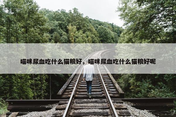 喵咪尿血吃什么猫粮好，喵咪尿血吃什么猫粮好呢