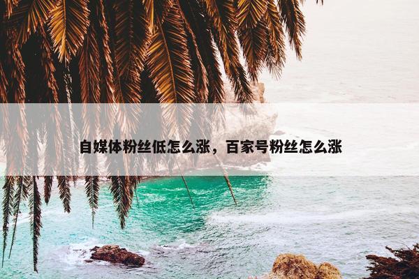 自媒体粉丝低怎么涨，百家号粉丝怎么涨