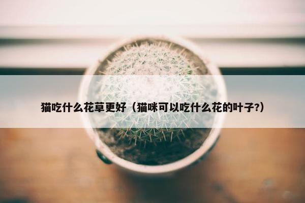 猫吃什么花草更好（猫咪可以吃什么花的叶子?）