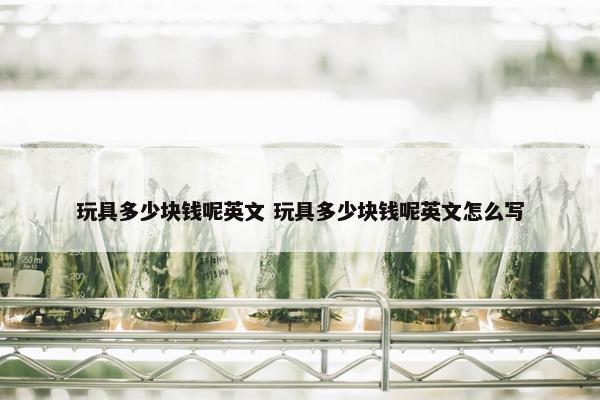 玩具多少块钱呢英文 玩具多少块钱呢英文怎么写